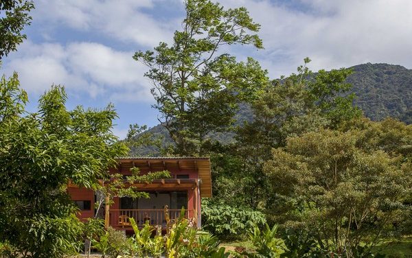 存錢度假去！熱帶雨林樹屋、火山口溫泉　全球5處紓壓旅遊提案