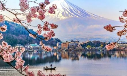 日本首兩份櫻花預測出爐！花期與往年相若、最早開花地區竟是XX