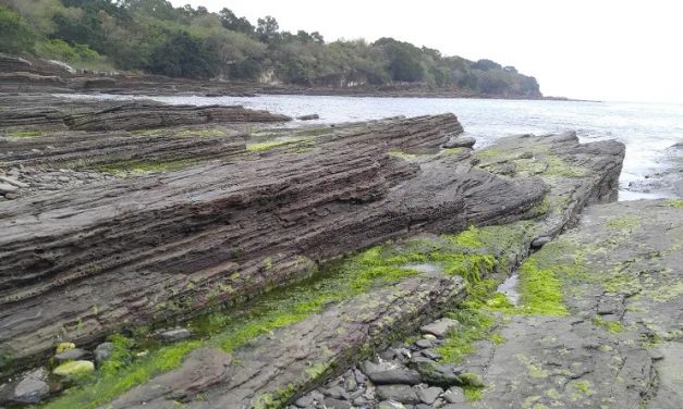 周末輕鬆離島遊 塔門東平洲雙島遊