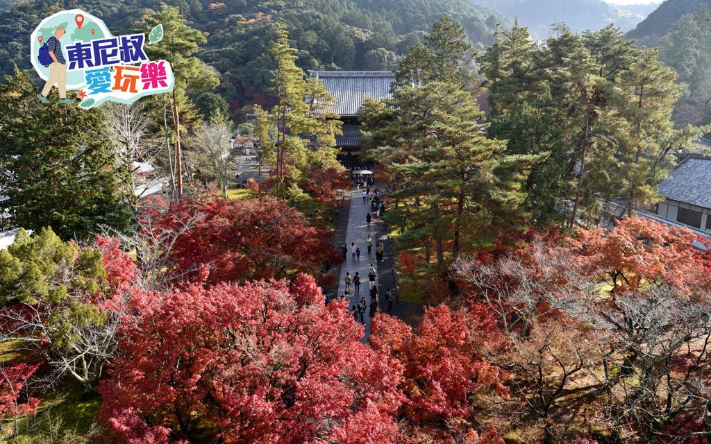 v京都‧南禪寺 歐式水道橋與秋葉光影交織出古寺禪意vs