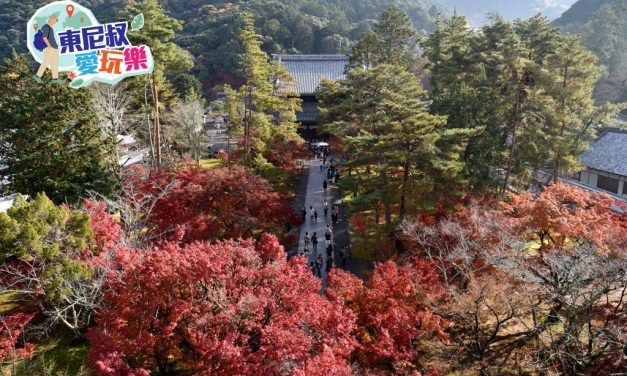 v京都‧南禪寺 歐式水道橋與秋葉光影交織出古寺禪意vs