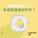 IKEA飄出榴槤味！　臭翻天「榴槤冰淇淋」今夏登場　還有榴蓮鬆餅、榴槤球一起臭！
